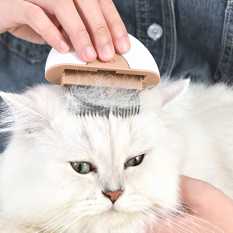 貓梳子去浮毛貝殼梳貓咪專用清理器開結擼貓刷寵物梳英短佈偶針梳