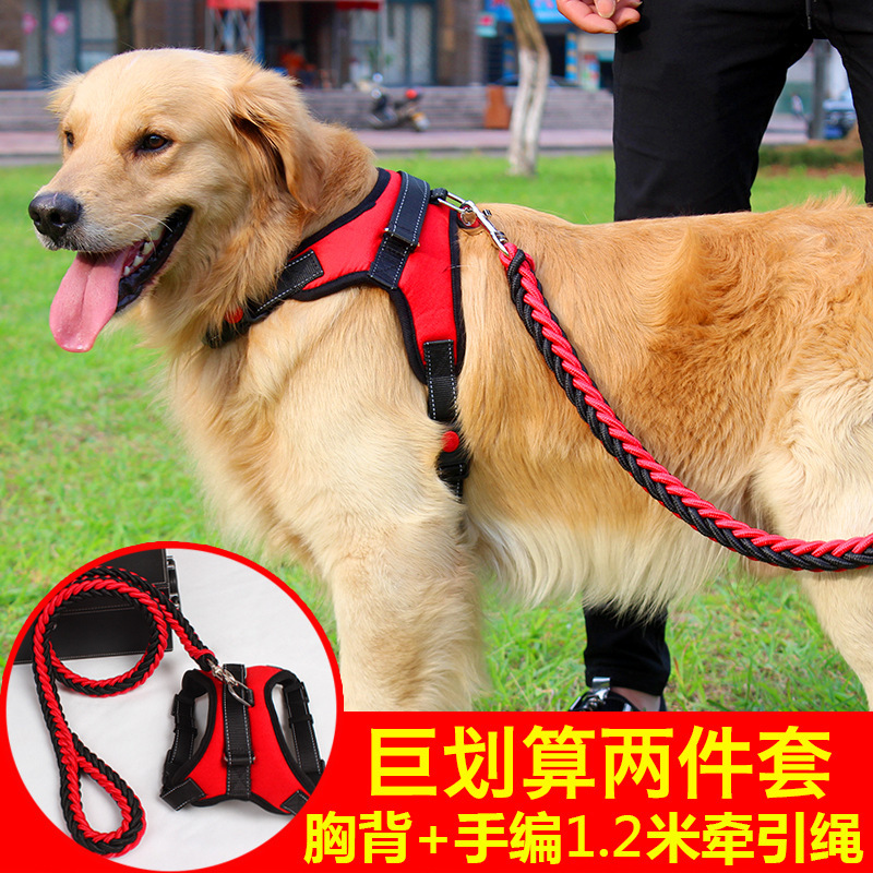 寵物狗狗貓咪外出牽引繩項圈套裝 可調節 胸背三件套 舒適 透氣 耐用