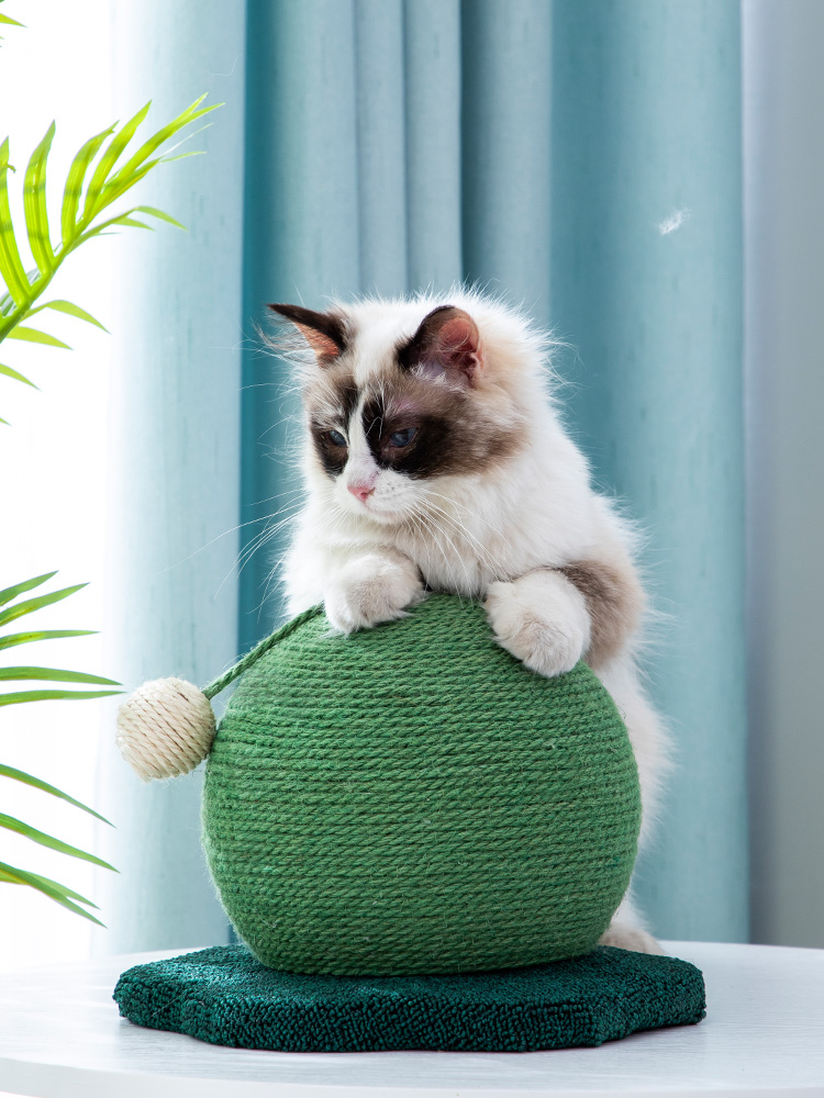 貓抓板磨爪器仙人球形圓球貓跳臺貓抓麻繩貓咪玩具