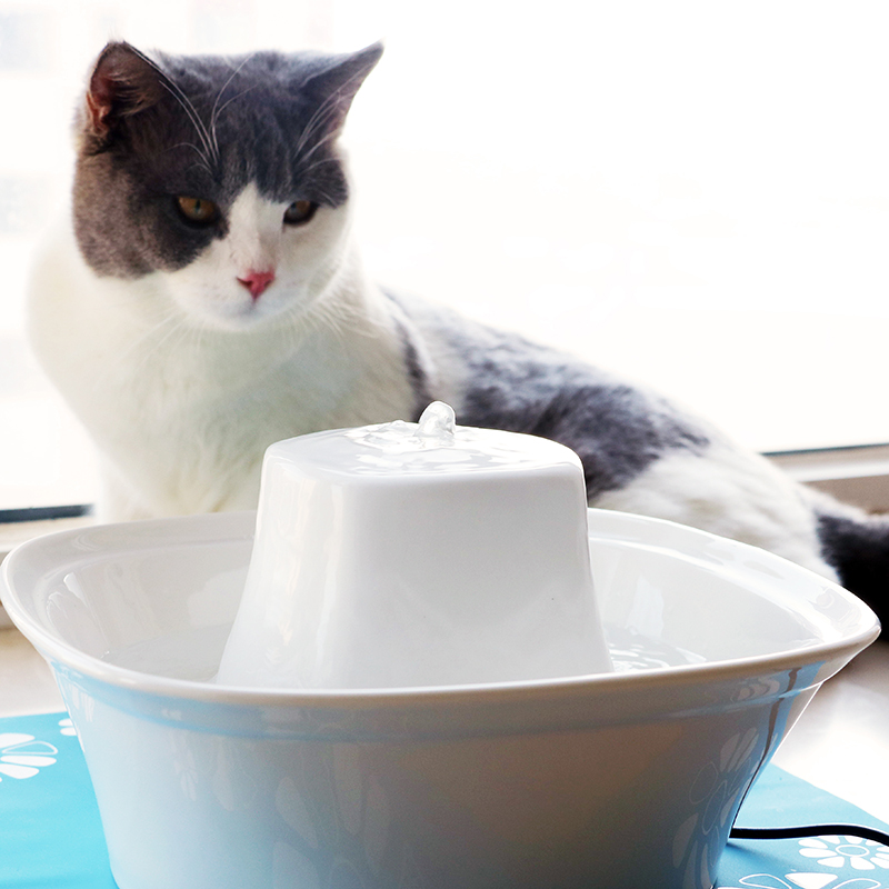 貓咪寵物飲水機陶瓷環球之光自動靜音流動寵物水頭蛋糕飲水機 (1折)