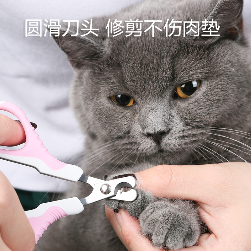 耐威尅貓用指甲剪梳子速乾吸水毛巾美容用品寵物英短貓咪狗狗專用